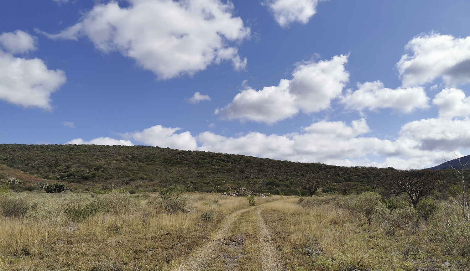 #cabañas #sostenibilidad #regeneracion #naturaleza #verde #modular #bajahuellacarbono #parajenatural