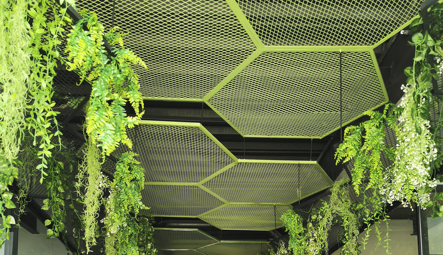 #interiorismo #neuroarquitectura #iluminaciónnatural #comunidad #coworking