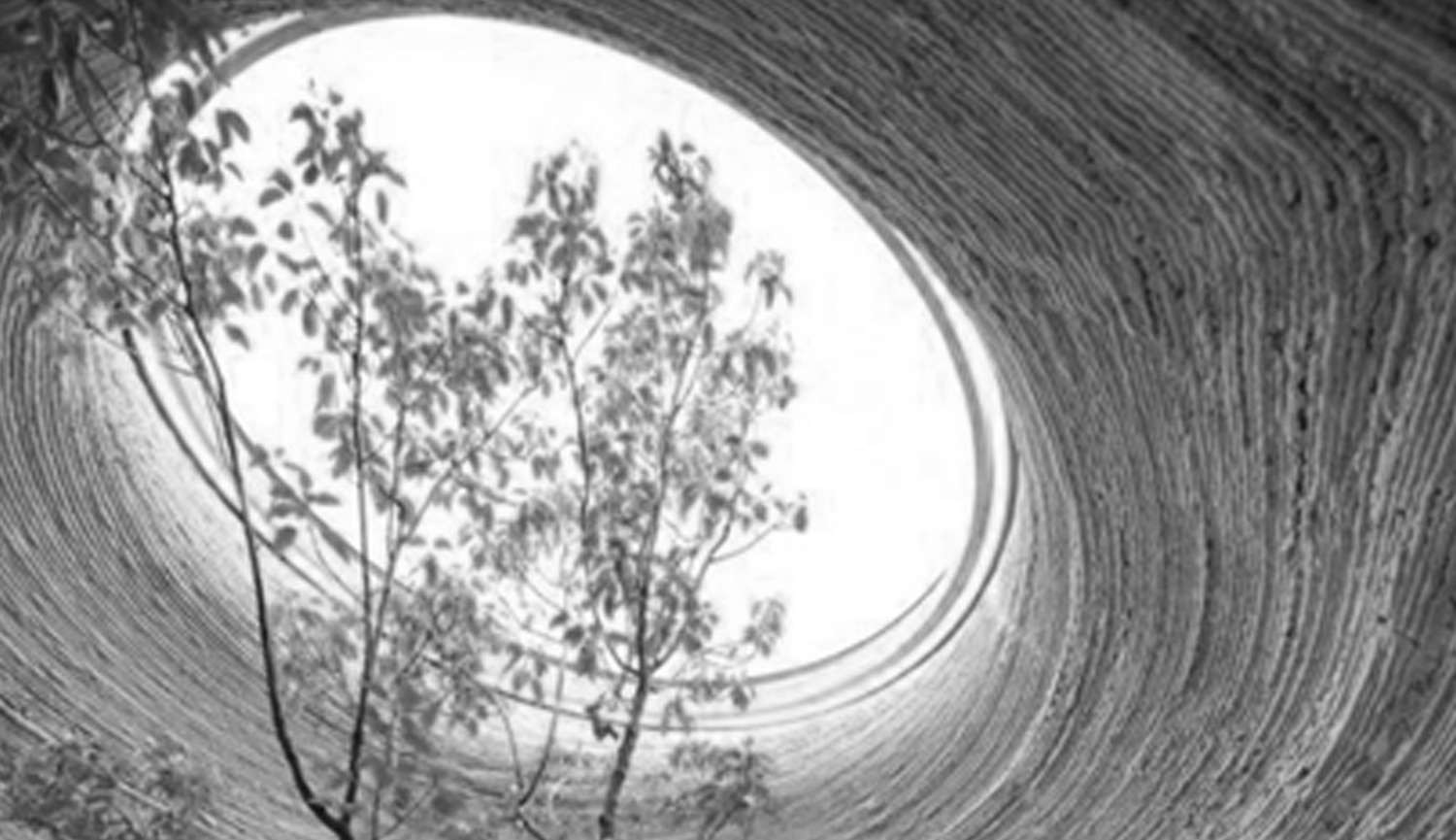 #iluminacionnatural #sol #salud #bienestar #confortvisual #alegria #saludmental #autoestima